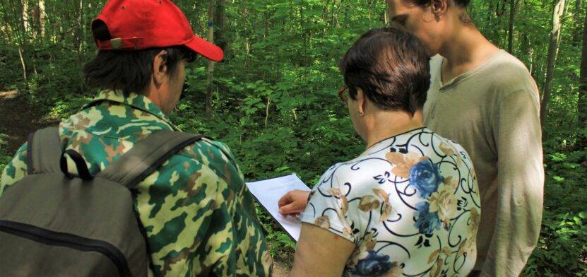 Обследование деревьев в Приоратском парке