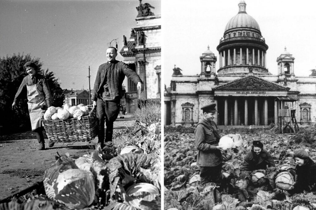 Огород в блокадном Ленинграде
