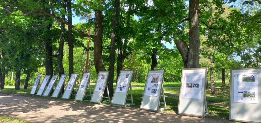 Выставка Шварца в Приоратском парке