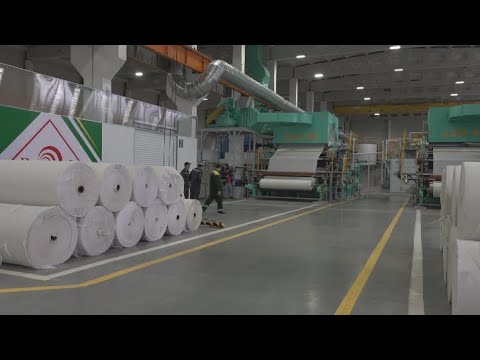 Фабрика картонно бумажных изделий