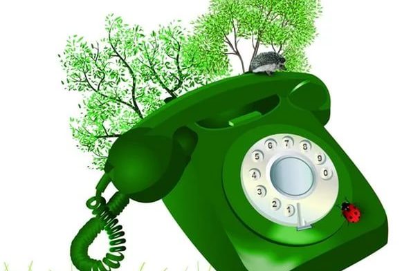 Зелёная телефонная линия