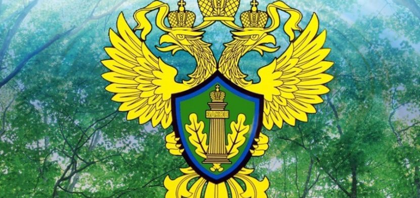 rosprirodnadzor-logo